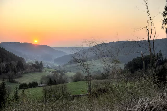 Sonnenuntergang über dem Wald